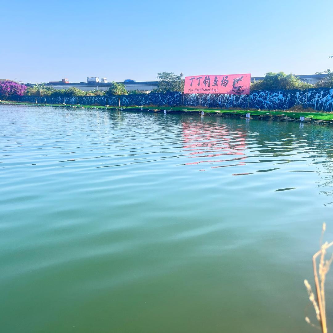 丁丁钓鱼场🎣-周润发