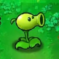 🟢  🟢  🟢  🟢