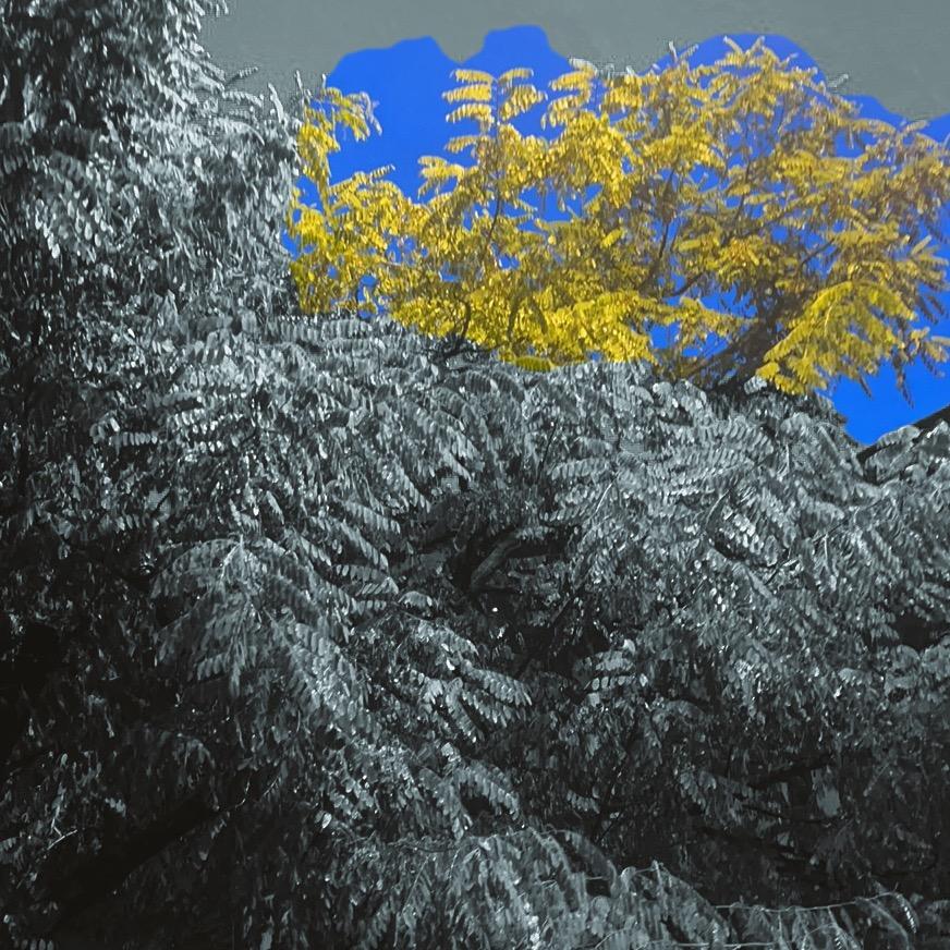 不高兴我就不说话