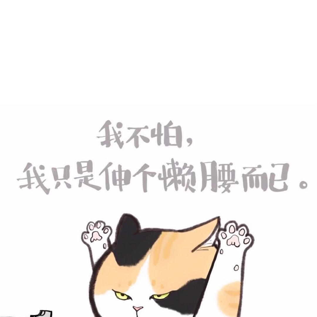 🫧🫧