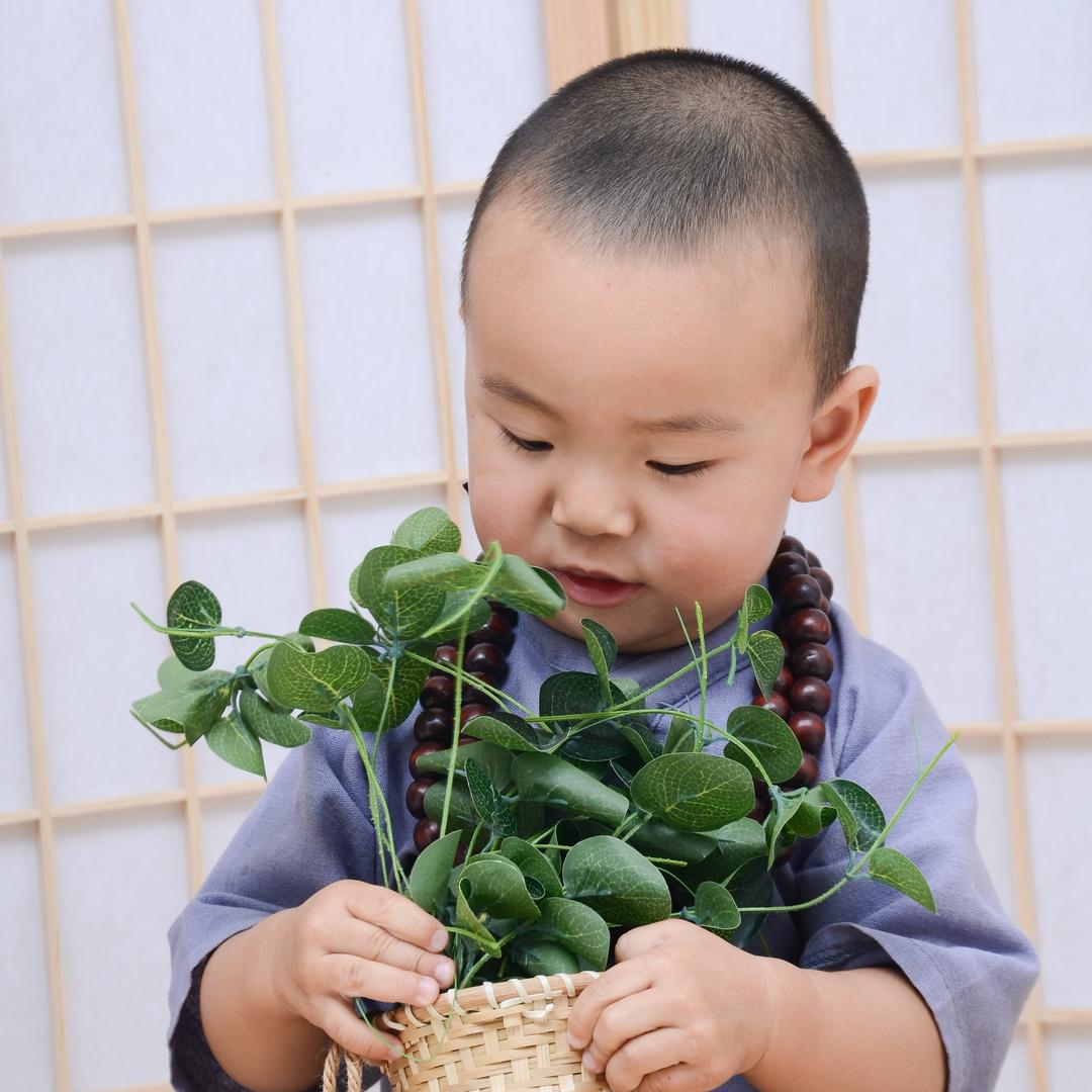 你好墨墨