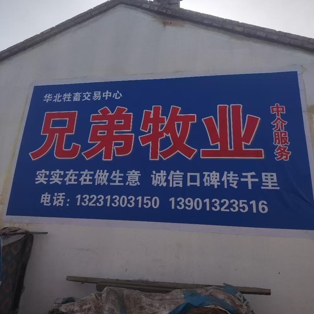 张北兄弟牧业（李海）【渭南肉牛合作点】