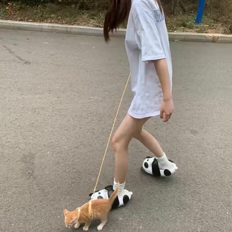 你们的幸福吵到我了