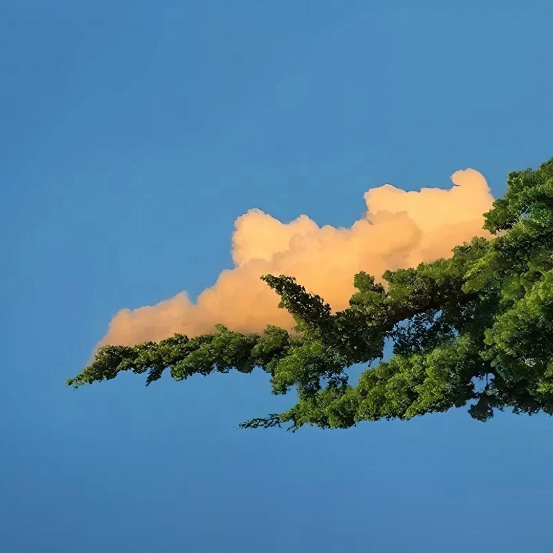 不再让收藏夹吃灰