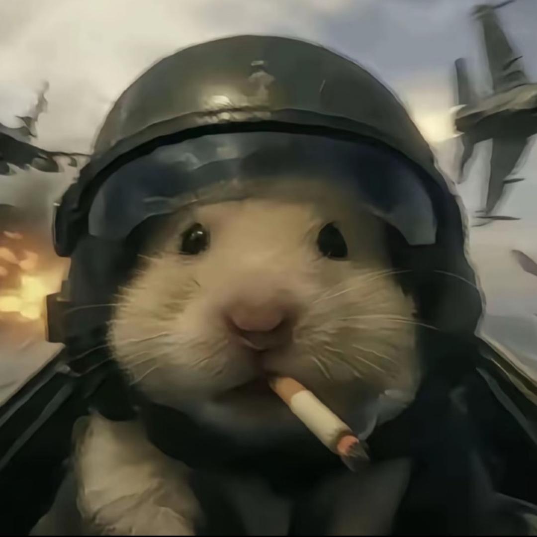 我要吃🍚