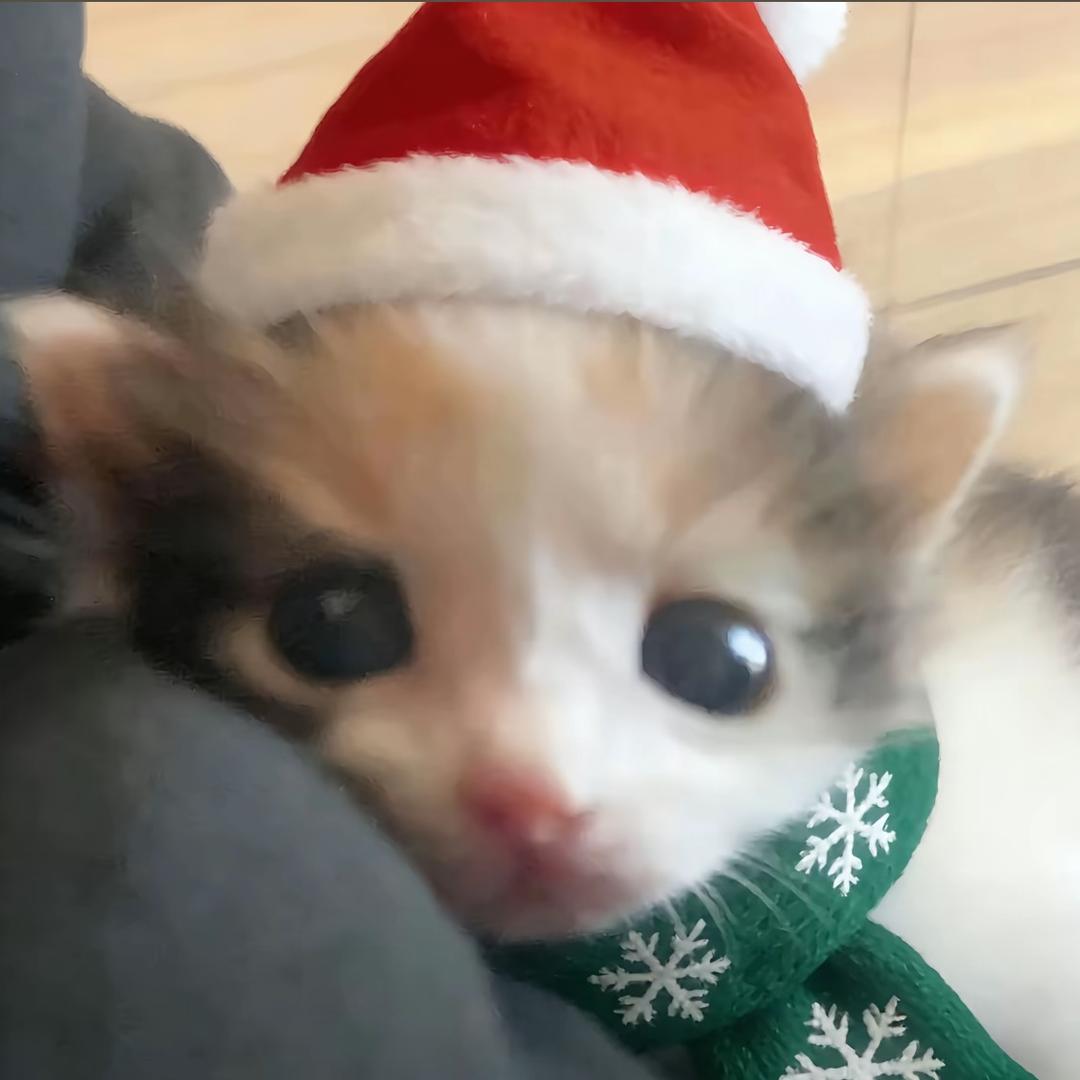 老子可是帅帅大王