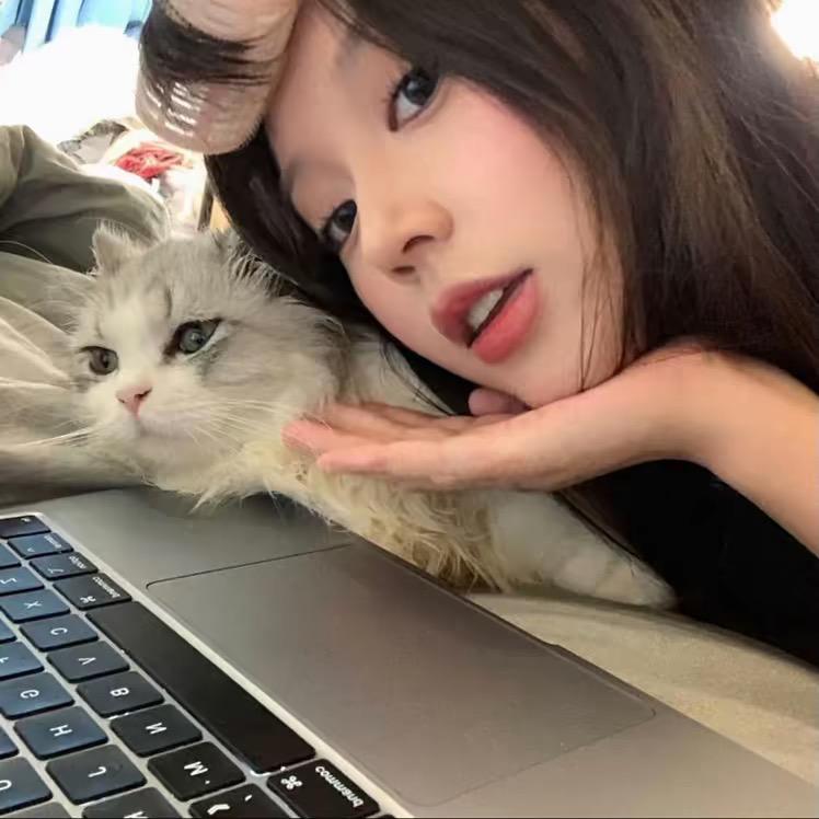 羊羊🎀