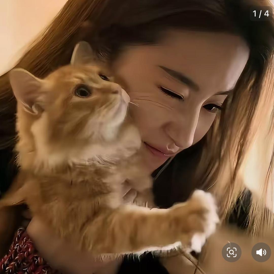 刘亦菲本艺.