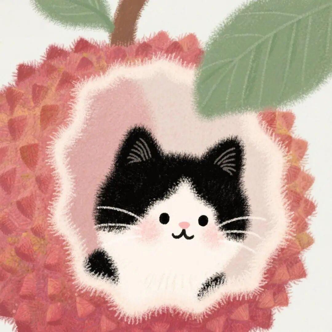 云朵里的鱼
