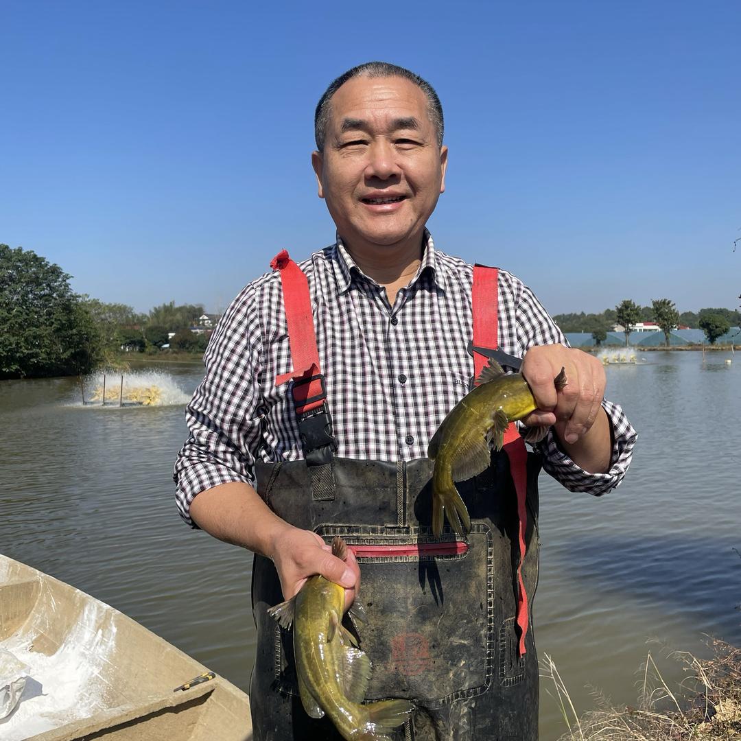 老潘说黄颡
