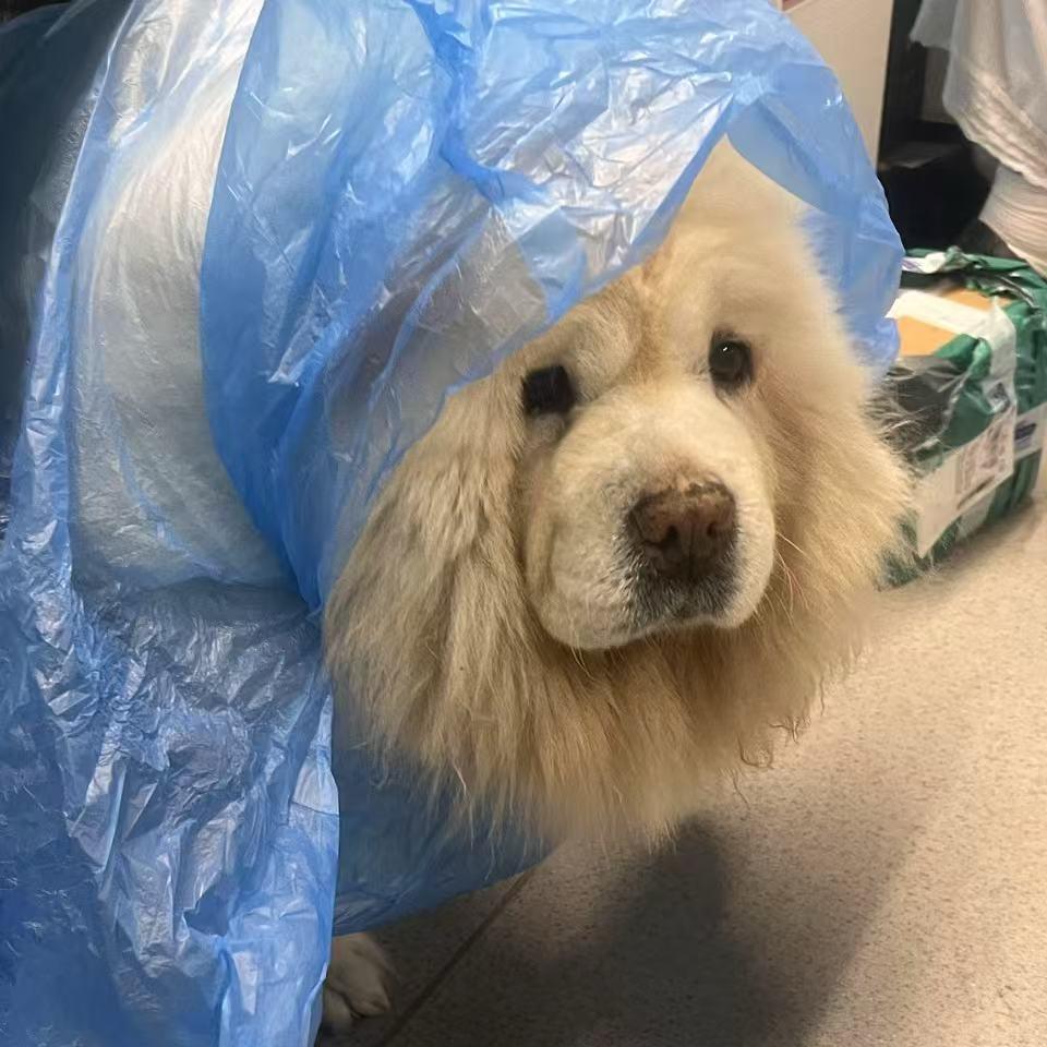 被窝封印