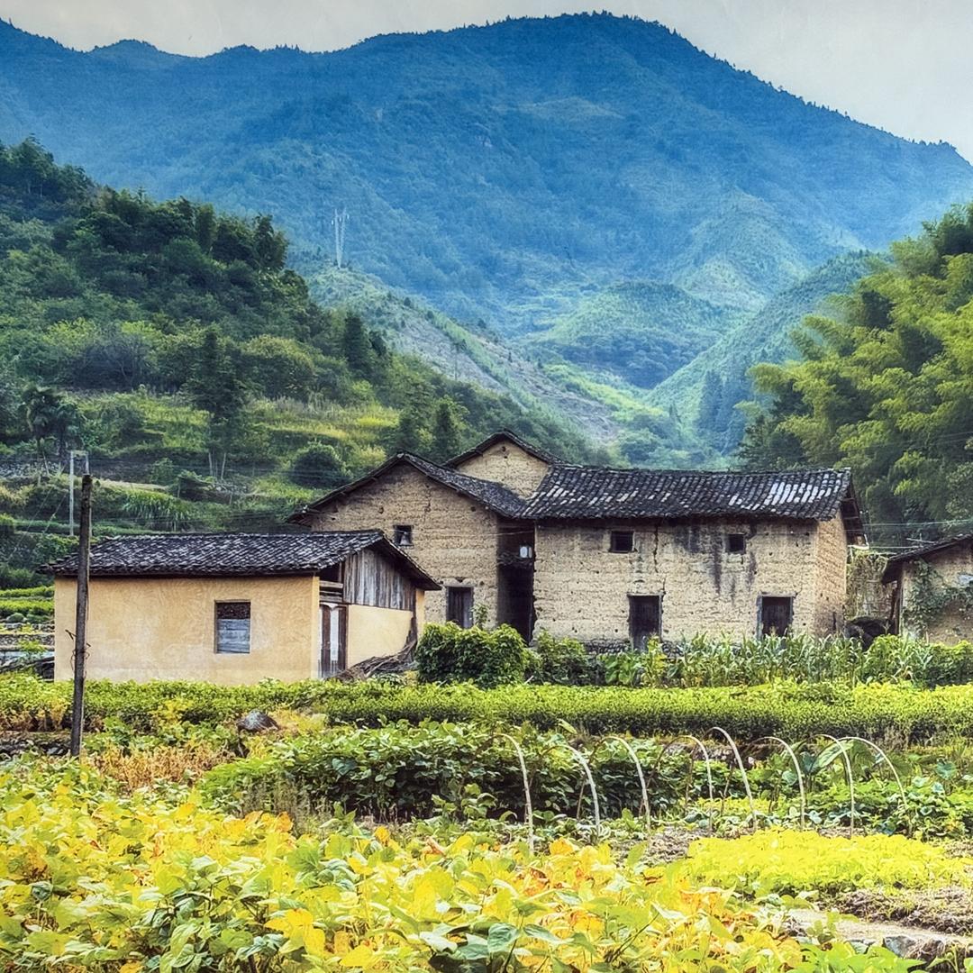 缅山天然绿色山货