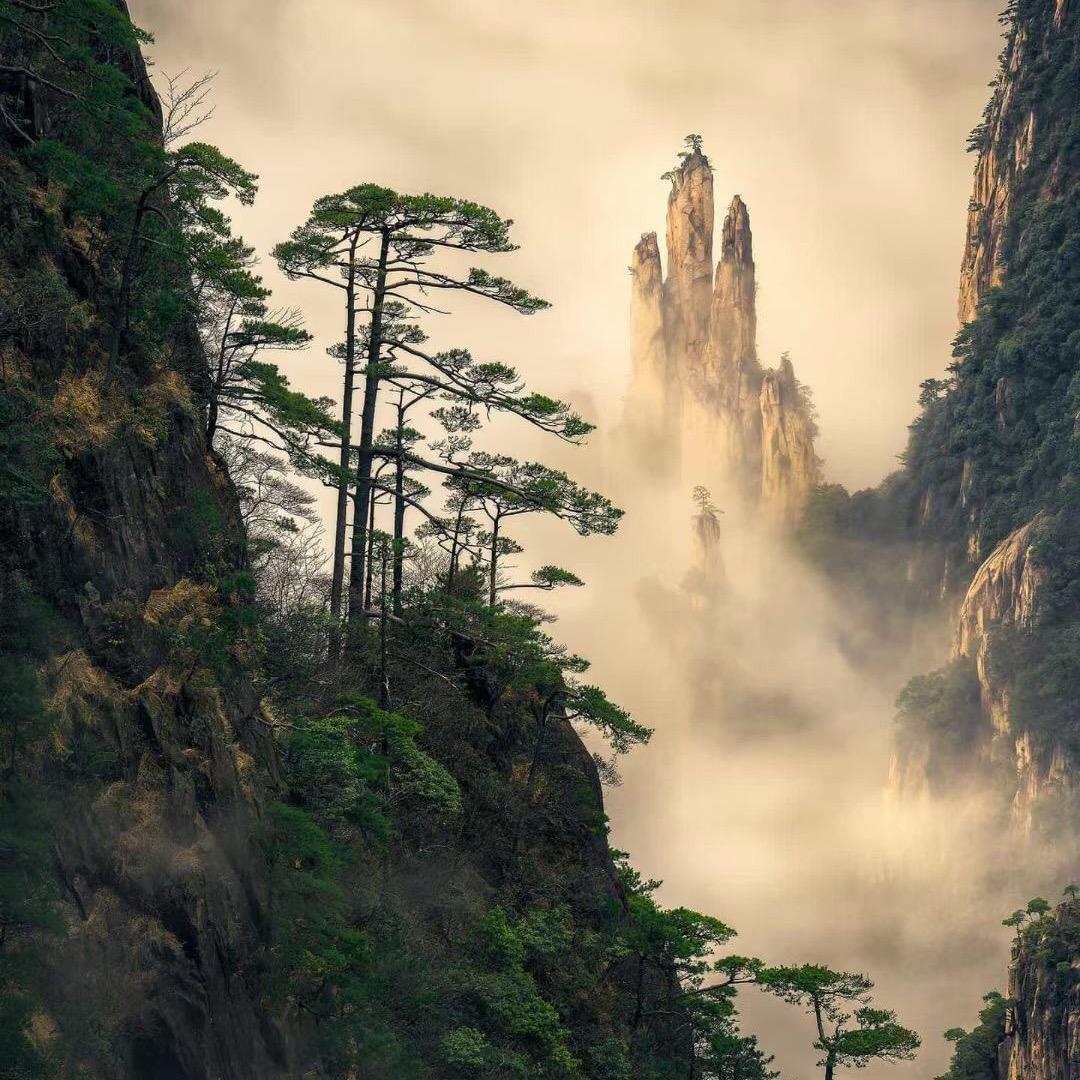 王麻子