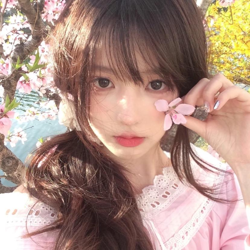 喵🐱Yosh（CTRA）认证