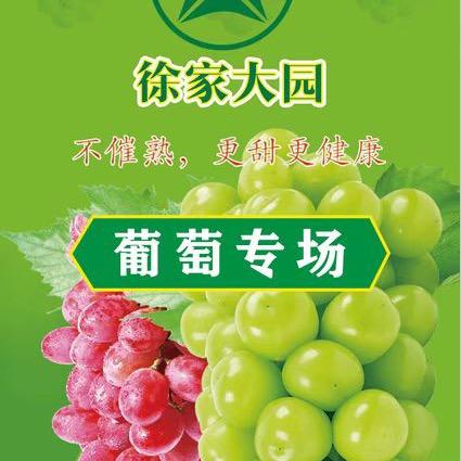 徐家大园