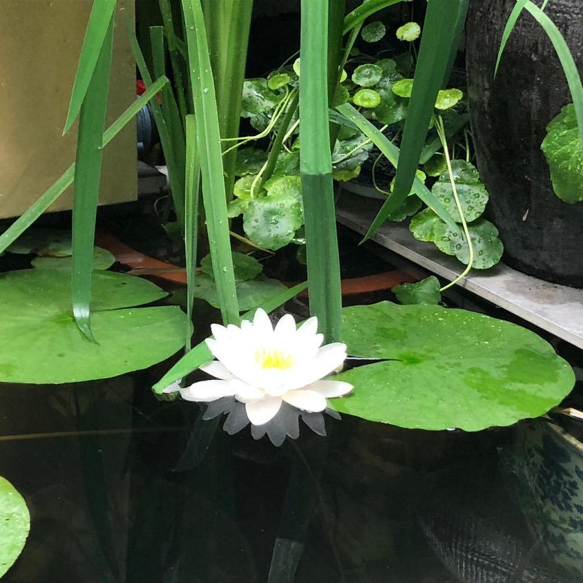 名阳天下