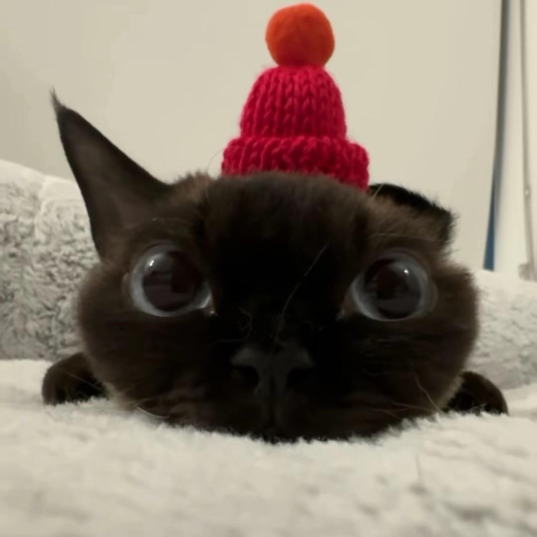 小心眼