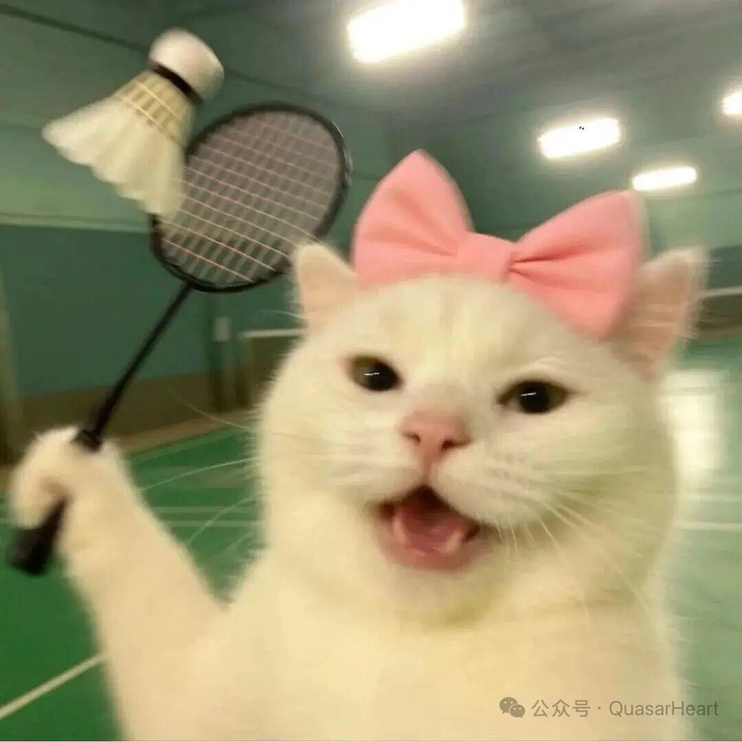 ㅤㅤ芭乐
