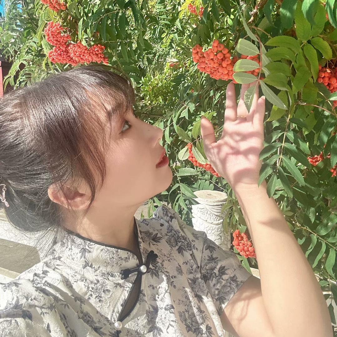 梅梅 （牡丹江检车）