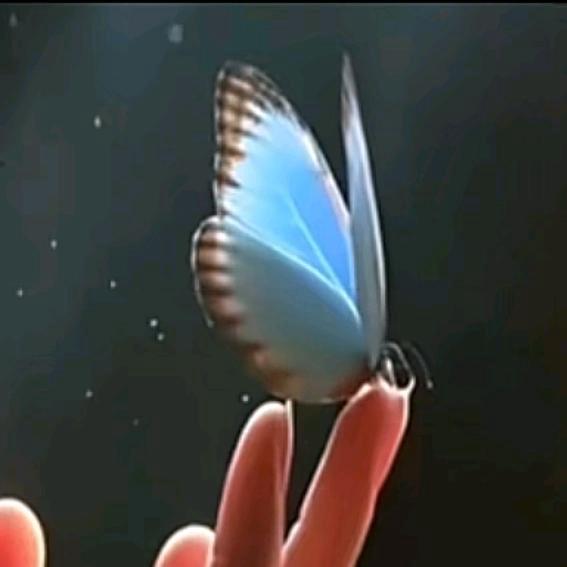 🥀ღ᭄茉莉꧔ꦿ᭄✌🏿