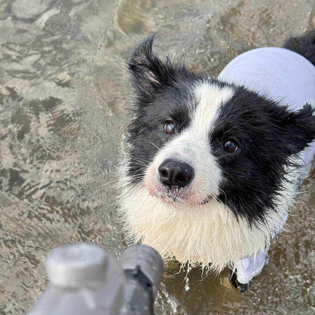她的面看起来很好吃