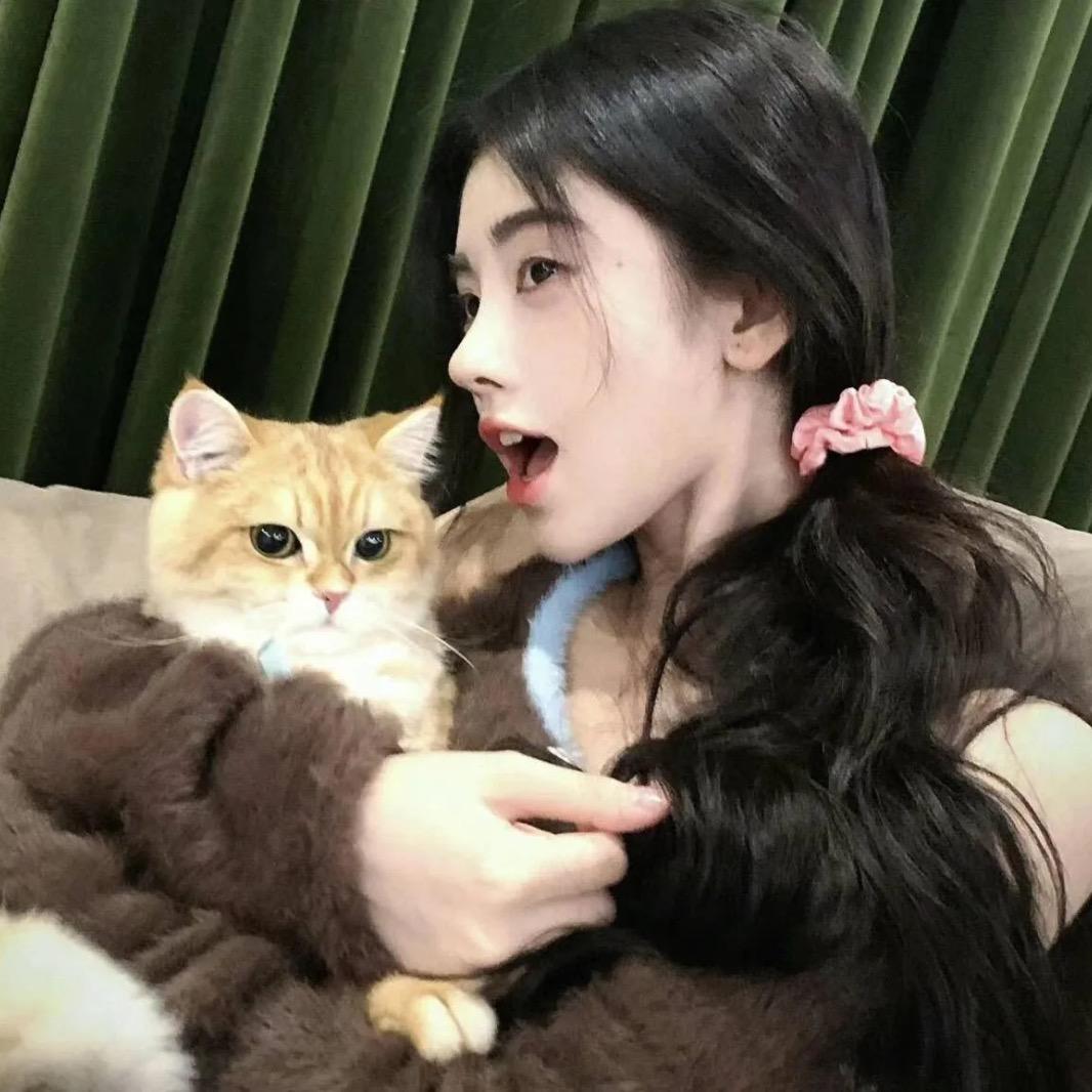 无敌小羊