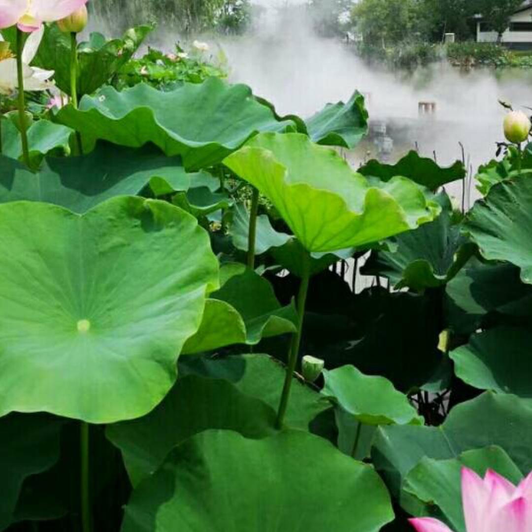 财源滚滚来