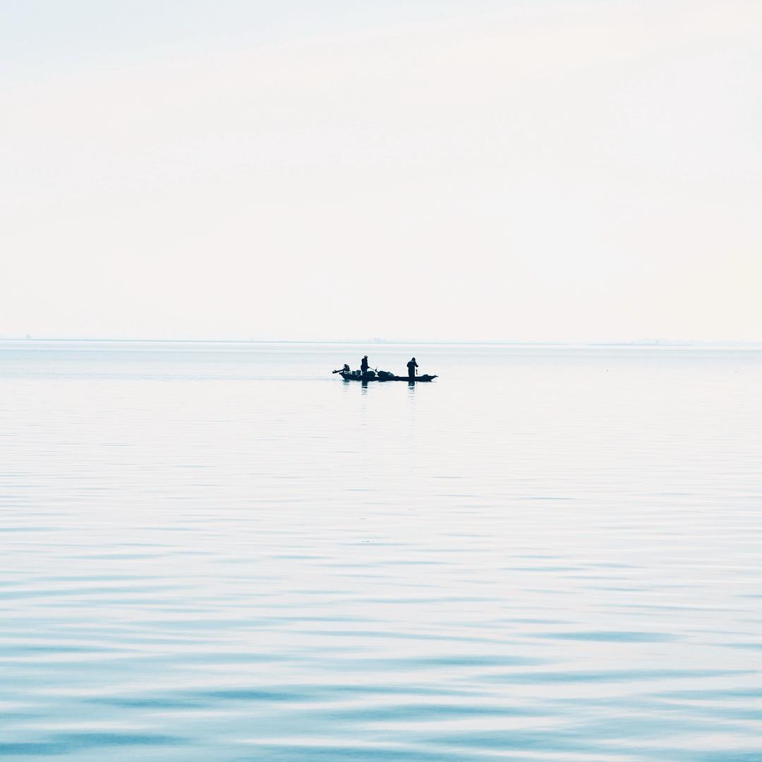 平凡数学直播号