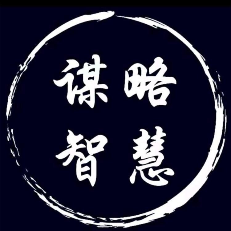 谋势智慧