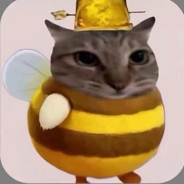 猫猫大王