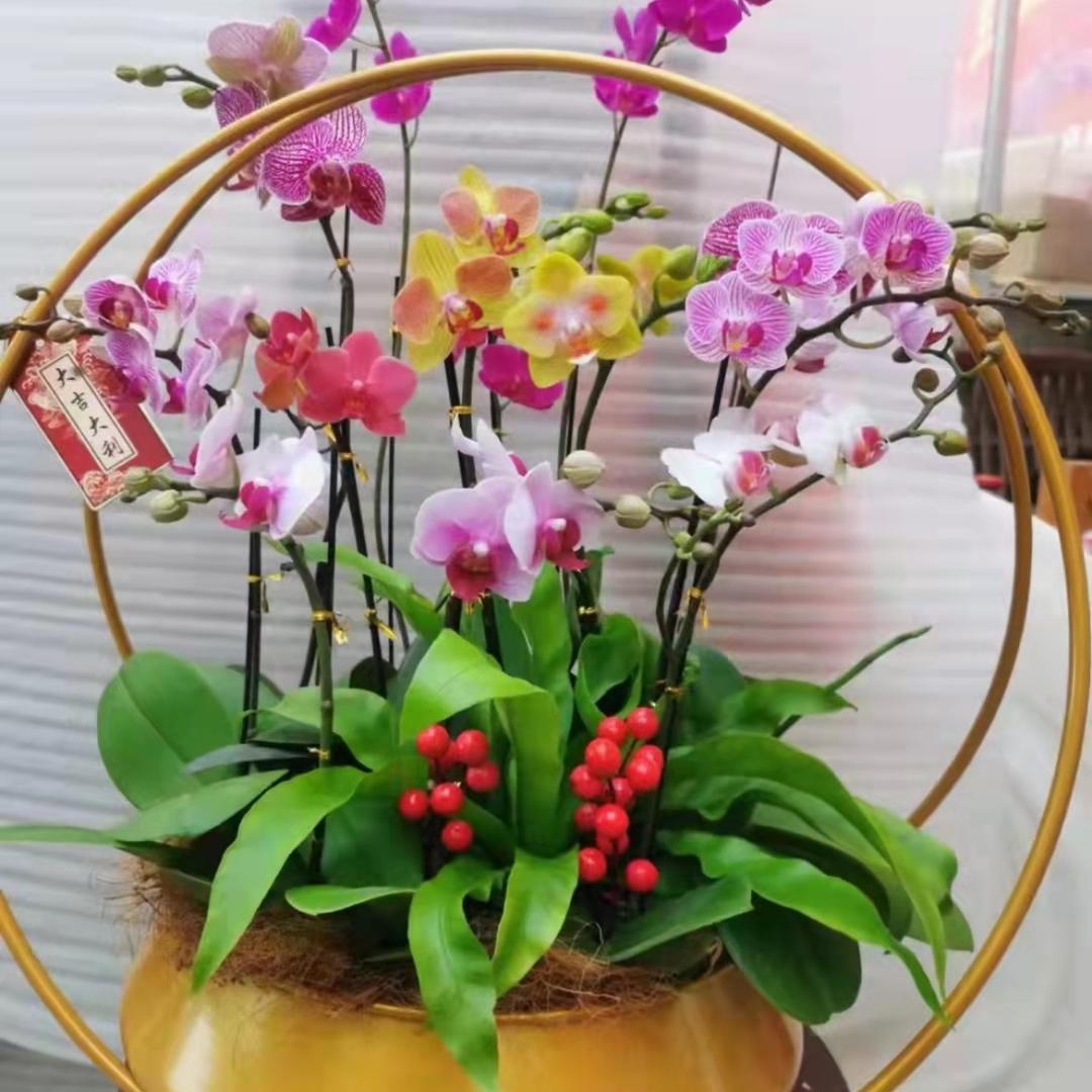 世善堂骨鼻康复