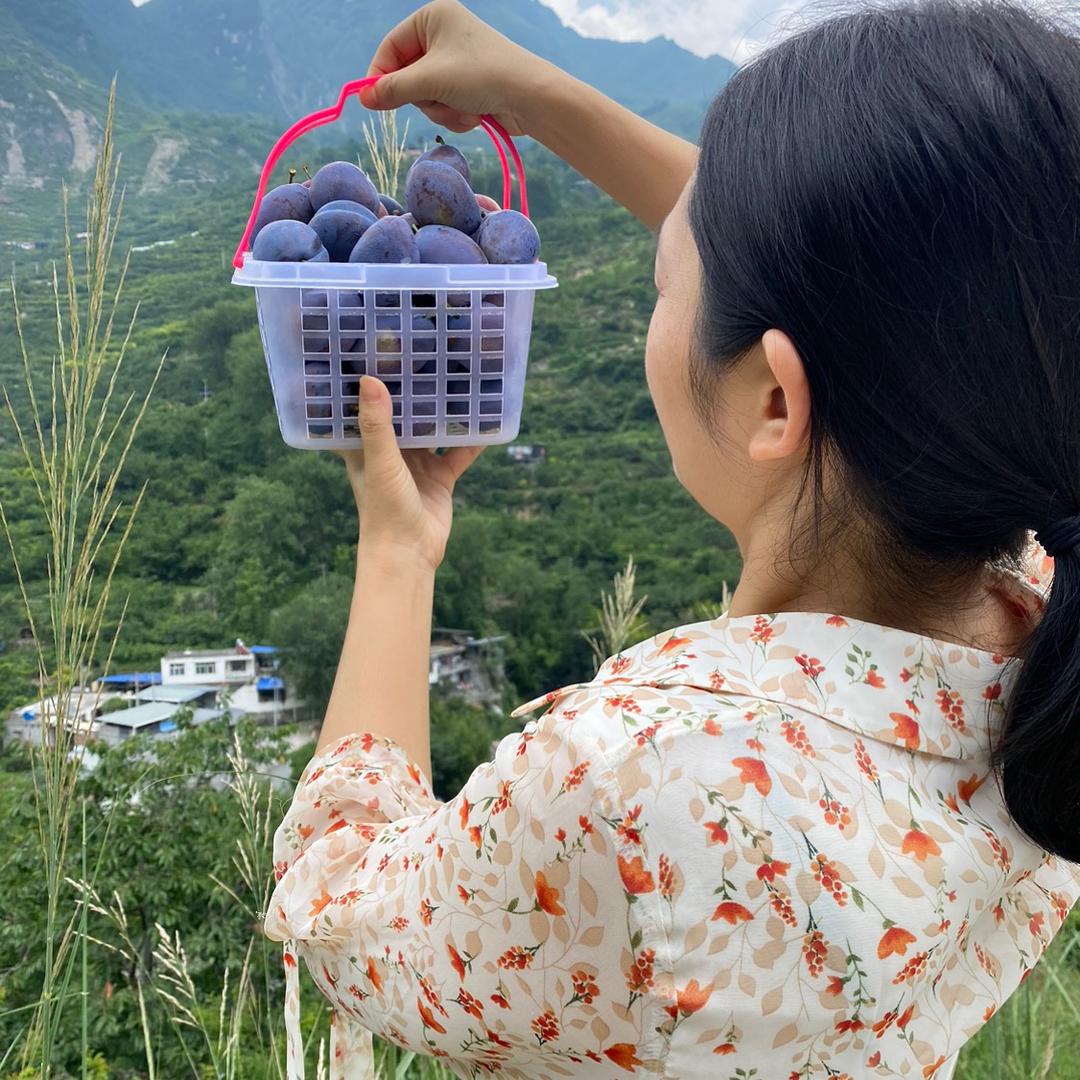 开源特产李子西梅
