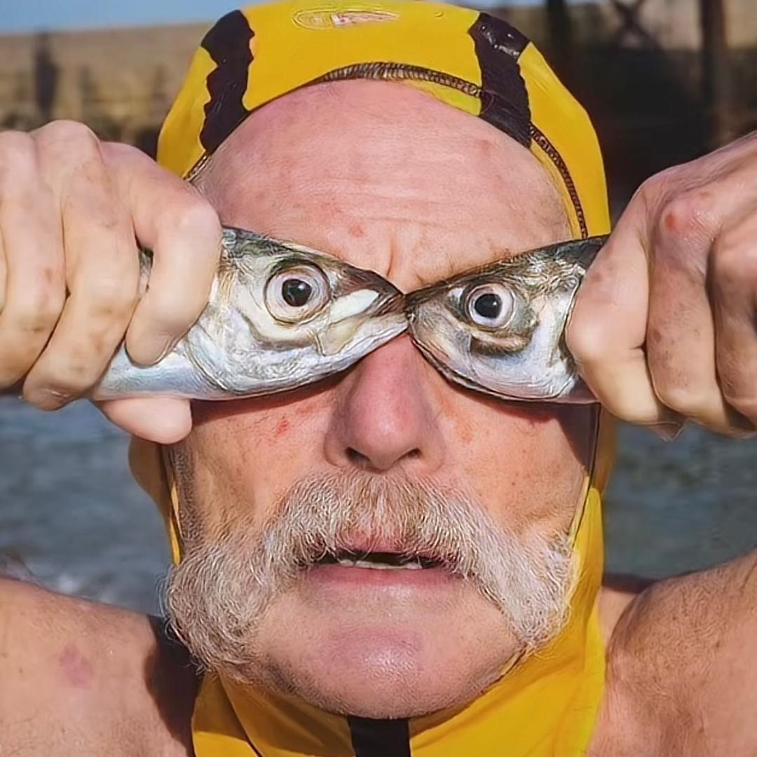 🌈困兽之斗🐒