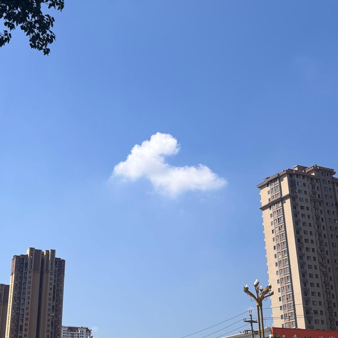 妖界助人为乐萧一鸣头像