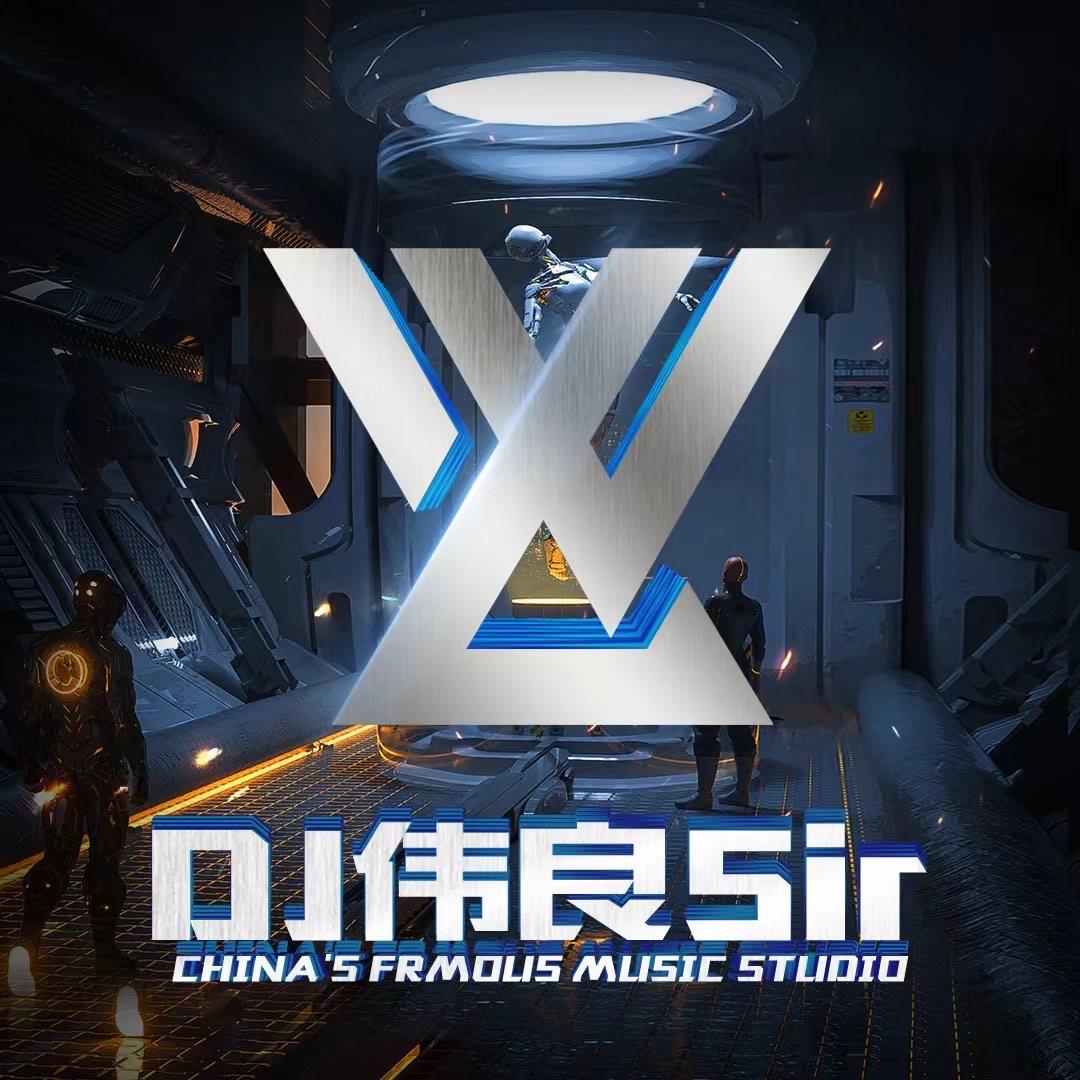 AK广东DJ伟良Sir粤