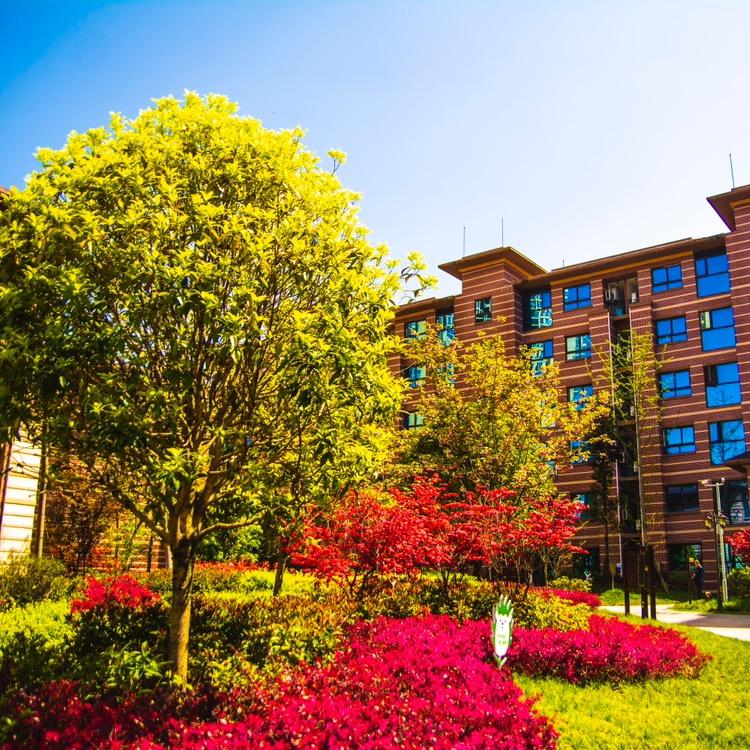 利川麓岛国际酒店（腾龙洞游客中心店）