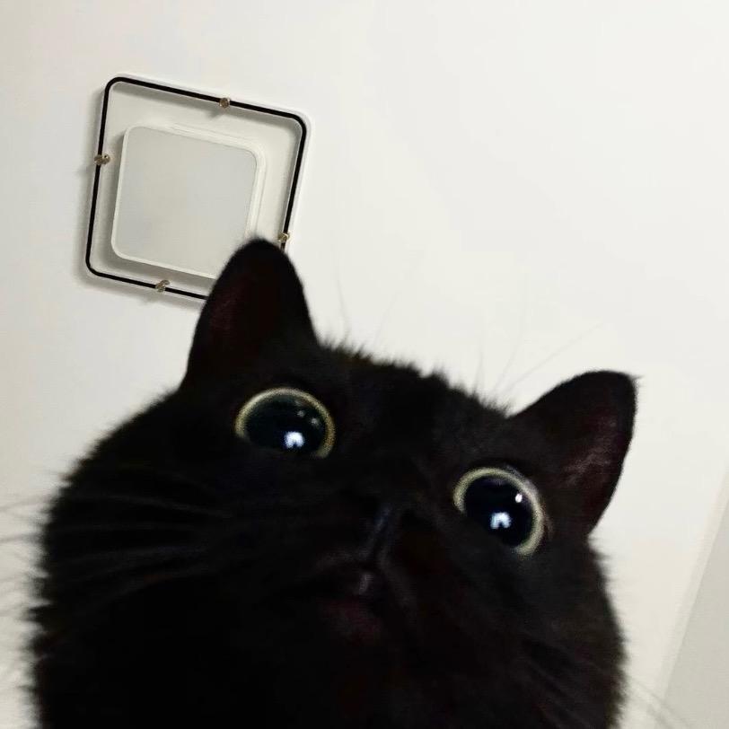 🔗