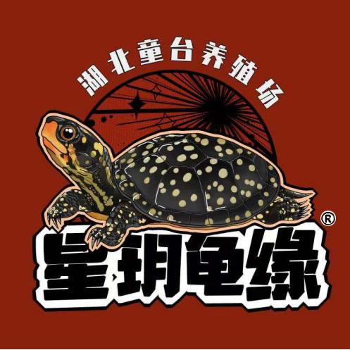 星玥龟缘（综合版）