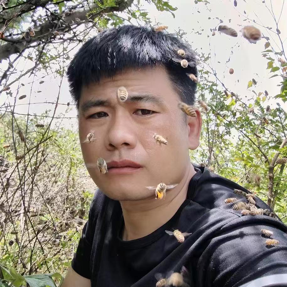 原林甄蜜🍯