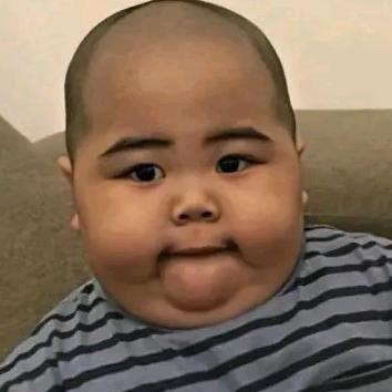 A 大陆凯子