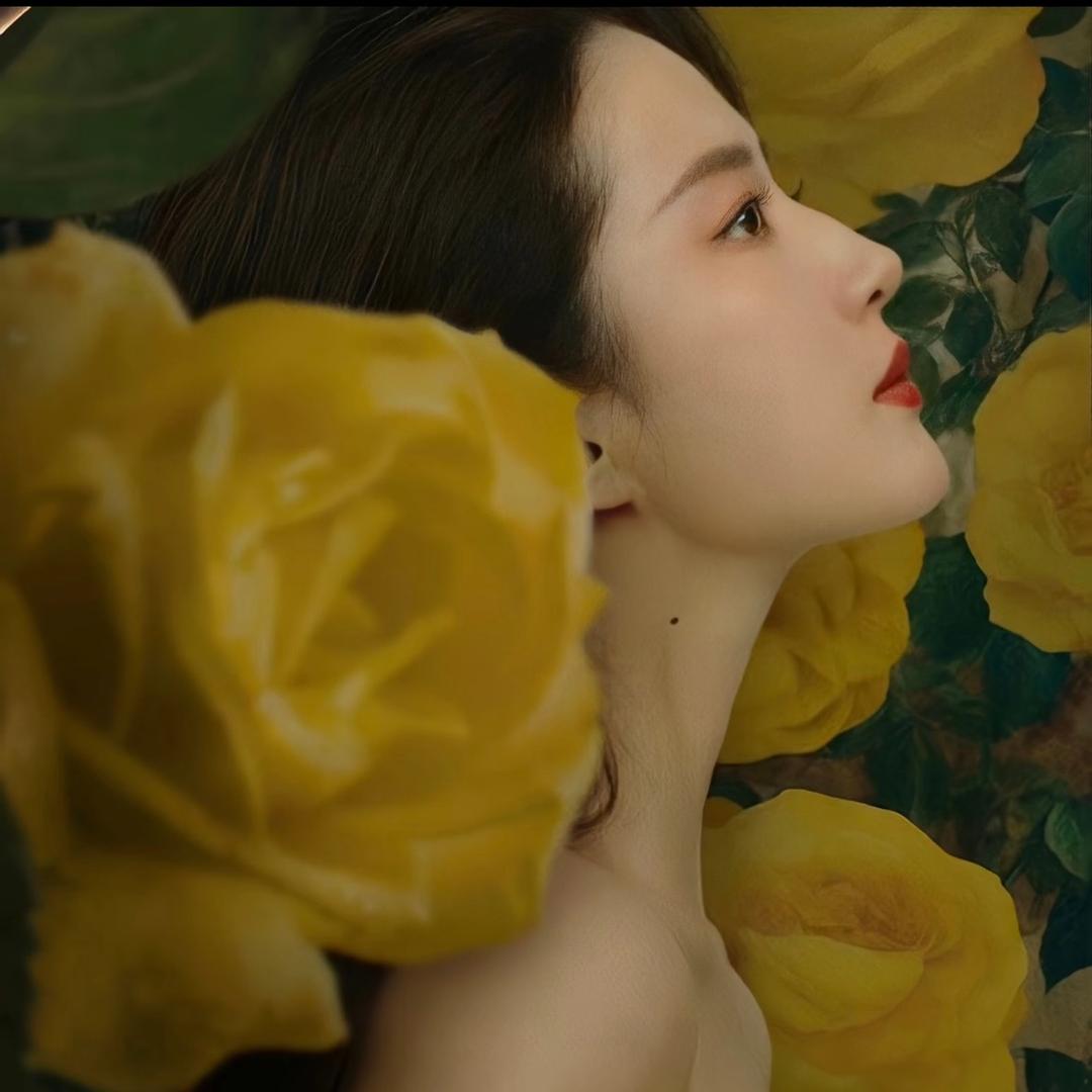麦麦e.