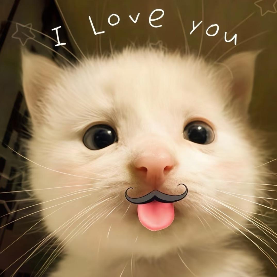 装忧郁被打^⦁᎑-^ ੭