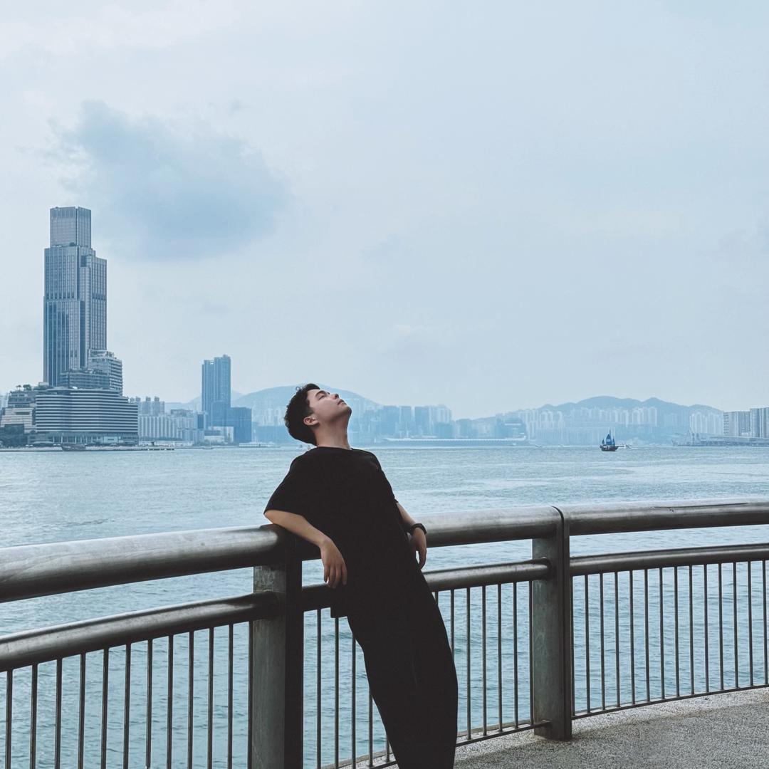 万科东合映象-梅松