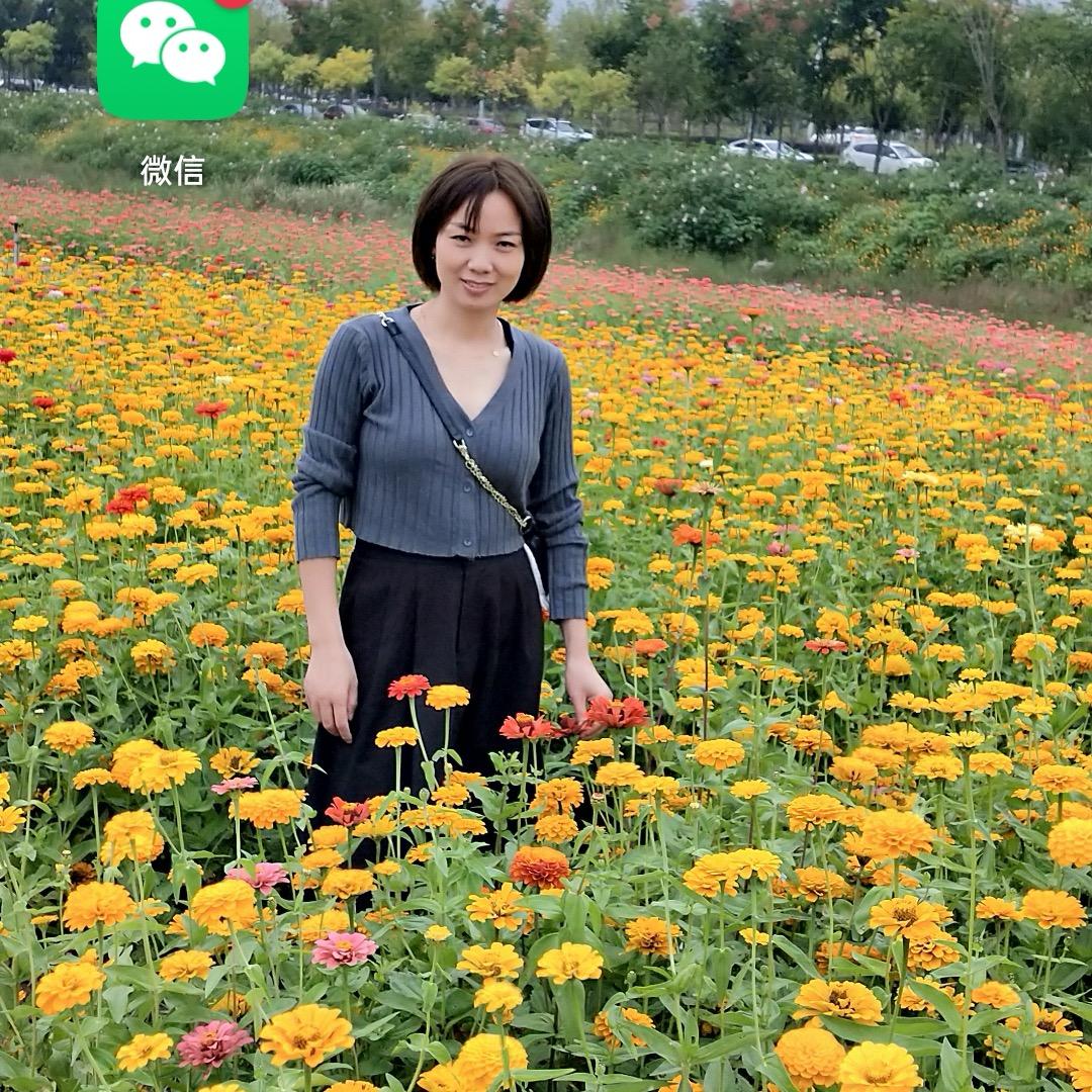 九华山莲花特产总批发一店