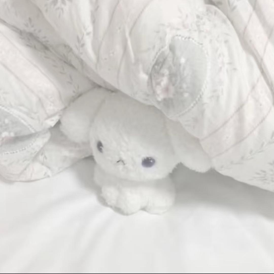 小季