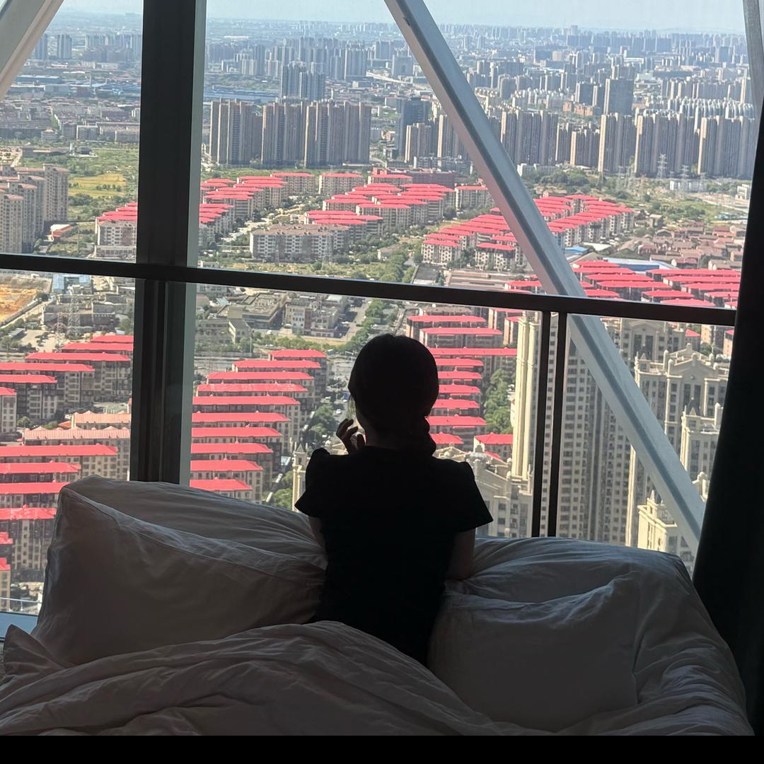 天上掉下个林妹妹
