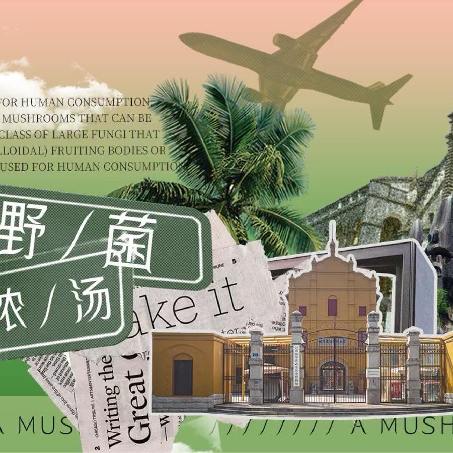 菌子满山跑