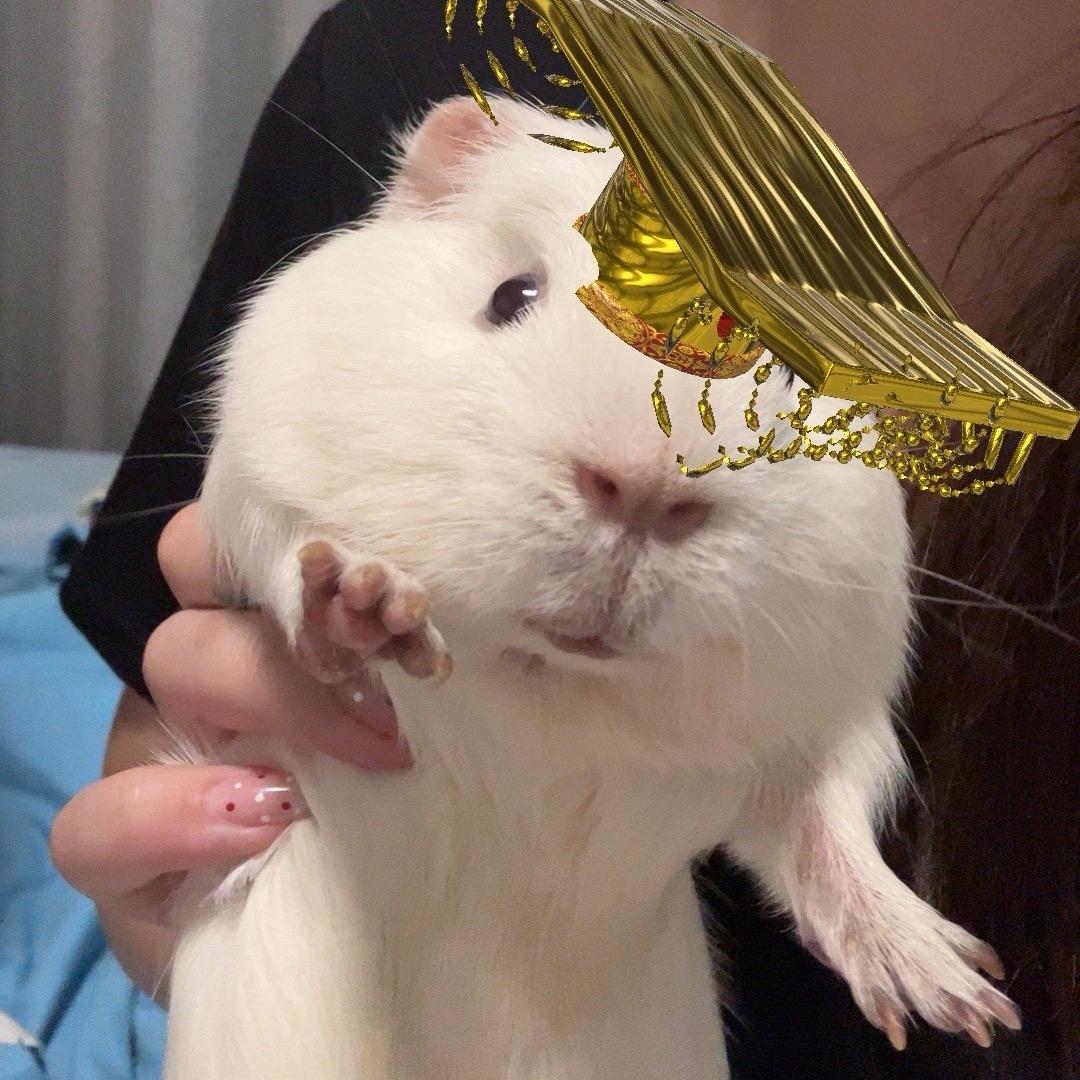 娣王