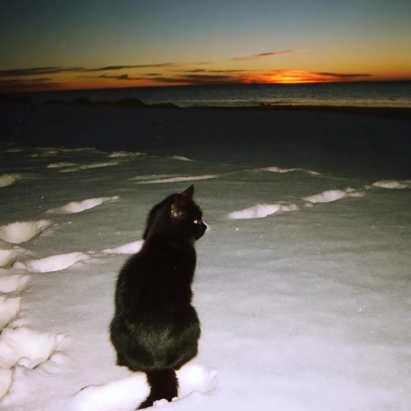 这是一条淡水鱼