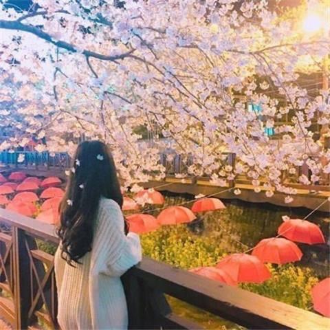 ღ一切皆是过客ღ᭄࿐